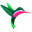 custom_website